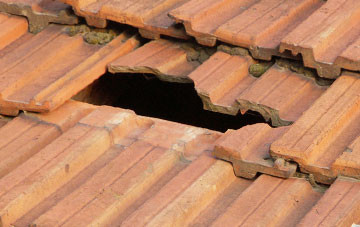 roof repair Healing, Lincolnshire