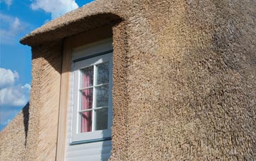 Healing thatch roof disadvantages