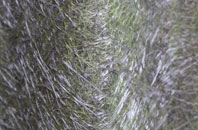 Healing fibreglass roof work